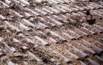 Gills roof cleaning companies