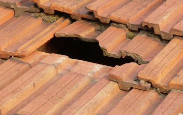 roof repair Gills, Highland